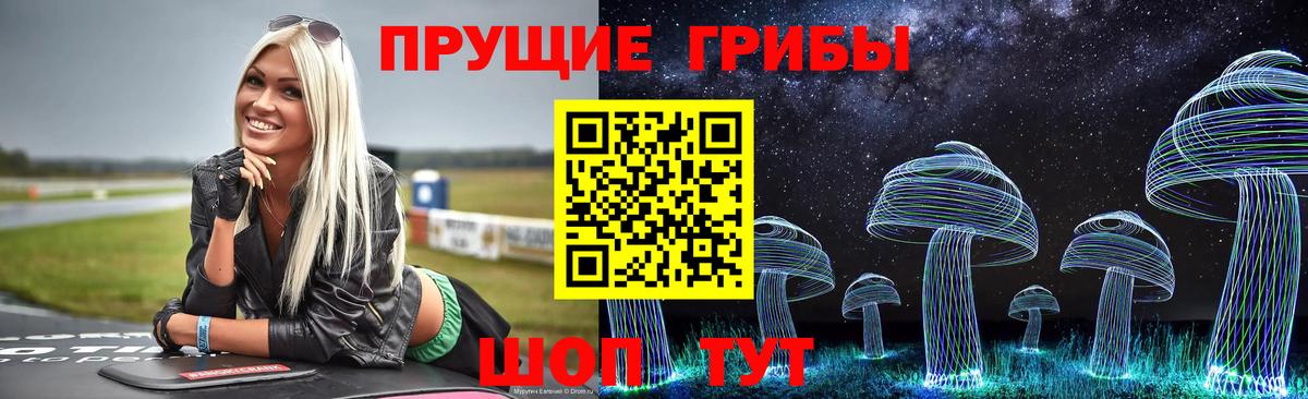 Псилоцибиновые грибы Cubensis  Вход с VPN  Карталы 